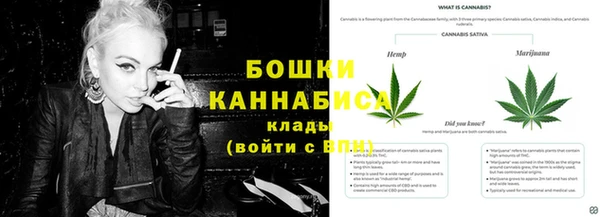 ПСИЛОЦИБИНОВЫЕ ГРИБЫ Абаза