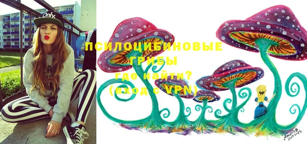 экстази Алексин