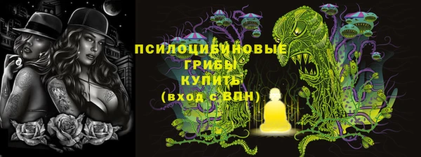 ПСИЛОЦИБИНОВЫЕ ГРИБЫ Абаза