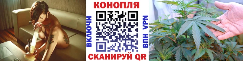 Бошки Шишки план это клад Тверь